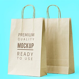 Paper Bag